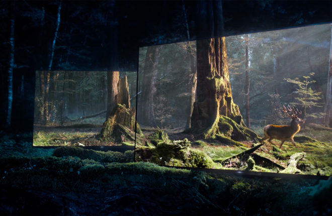 Sony Bravia “Back to Daylight” (Director’s Cut)