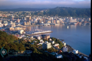 Wellington-website-photo
