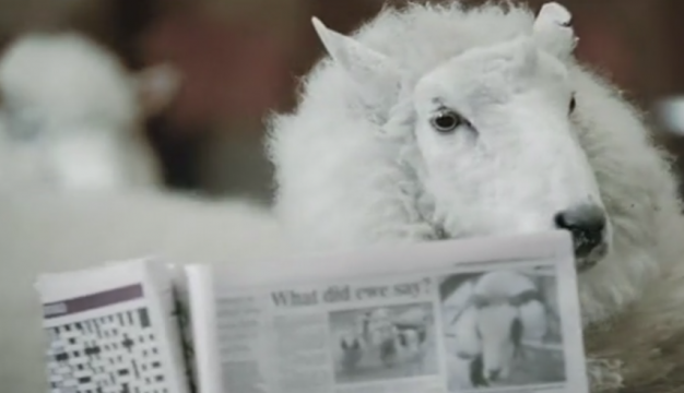 <!--:en-->Trainline – Sheep<!--:--><!--:zh-->Trainline – Sheep<!--:--><!--:fr-->Trainline – Sheep<!--:--><!--:ja-->Trainline – Sheep<!--:-->