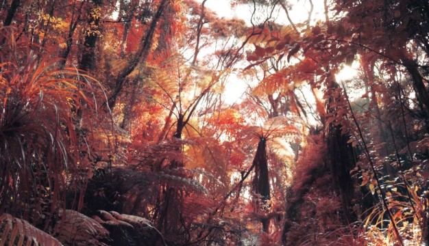 C4 Channel Ident – Waterfall