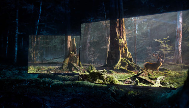 Sony Bravia “Back to Daylight” (Director’s Cut)